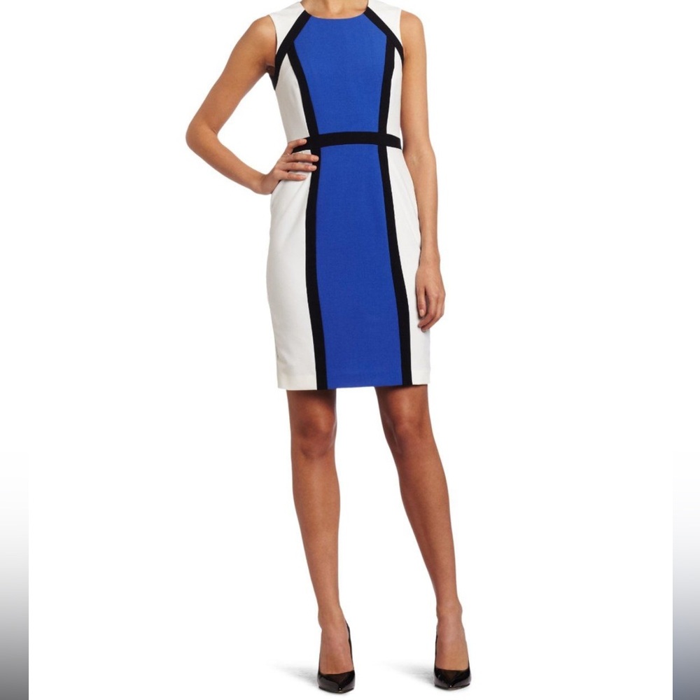 Calvin Klein Colorblock Dress